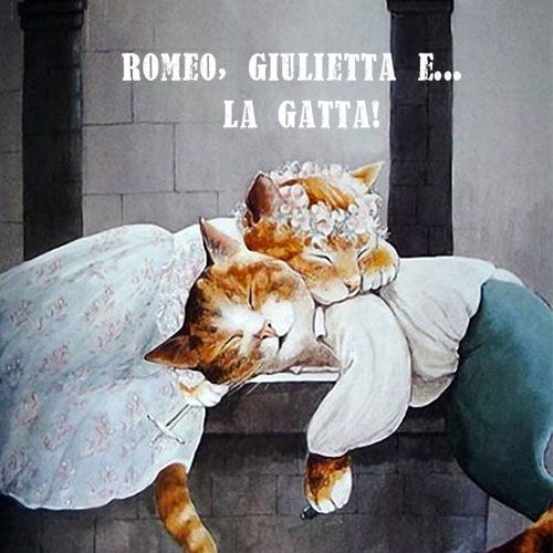 Romeo Giulietta e… la gatta!